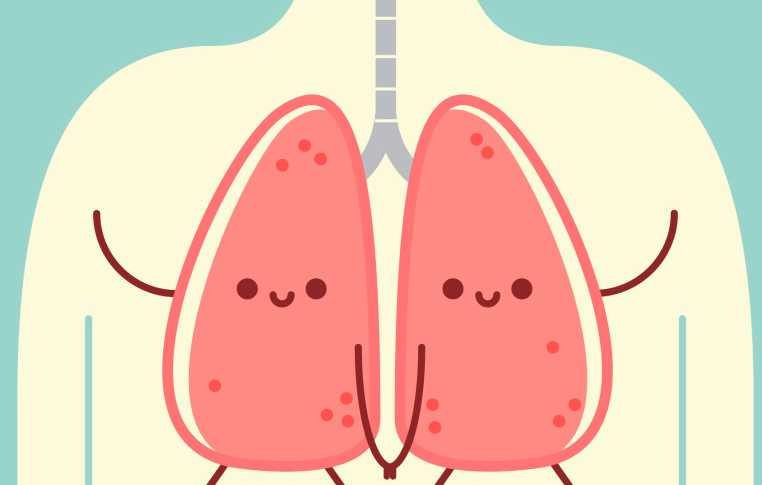槲皮素膠囊：您的護肺小能手